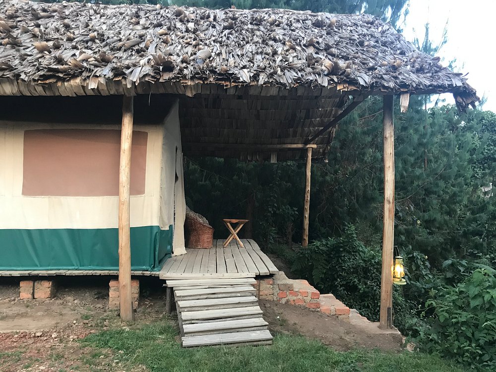 Broadbill Forest Camp lodge house in Bwindi