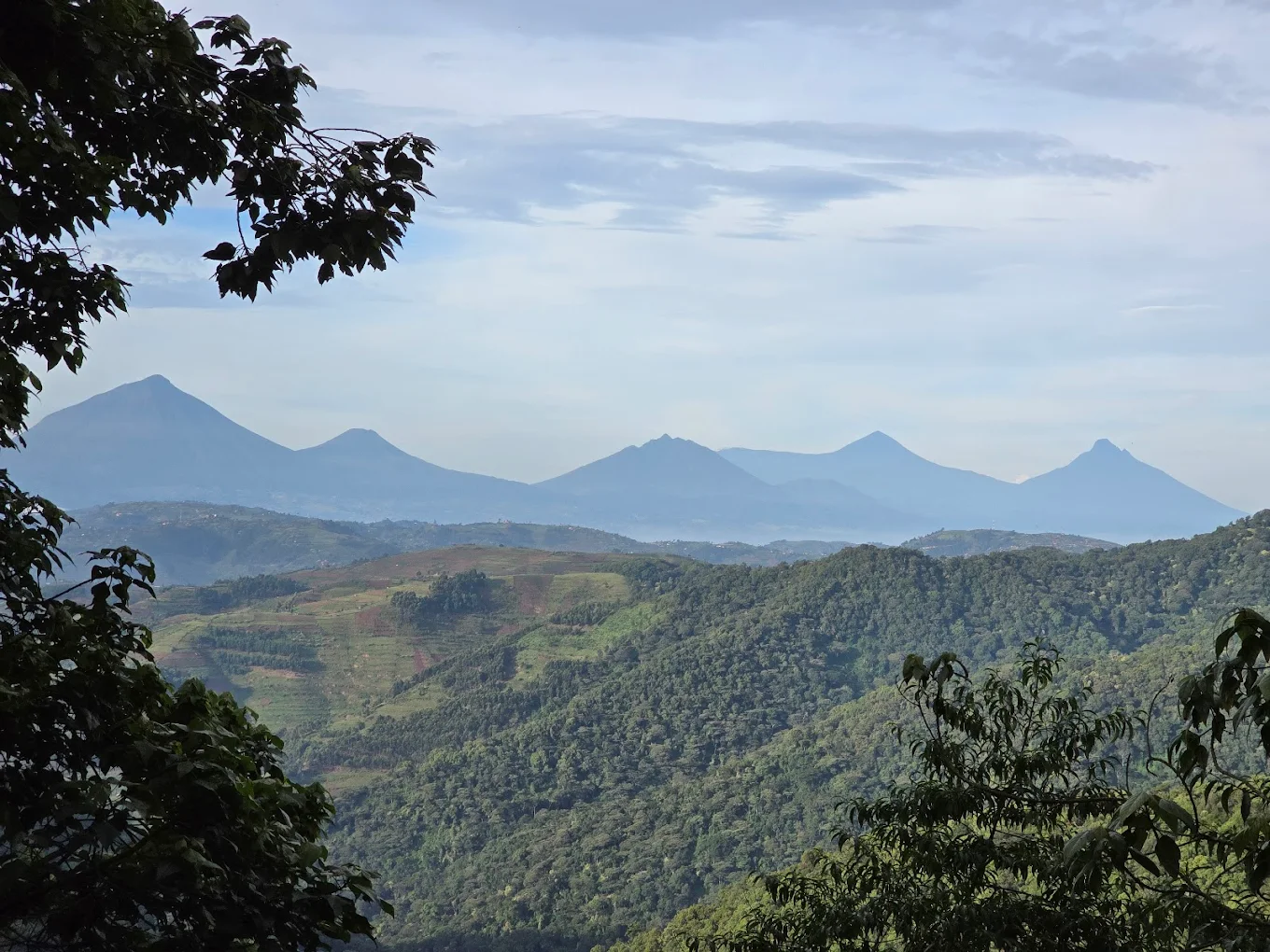 Broadbill Forest Camp Scenic Environment