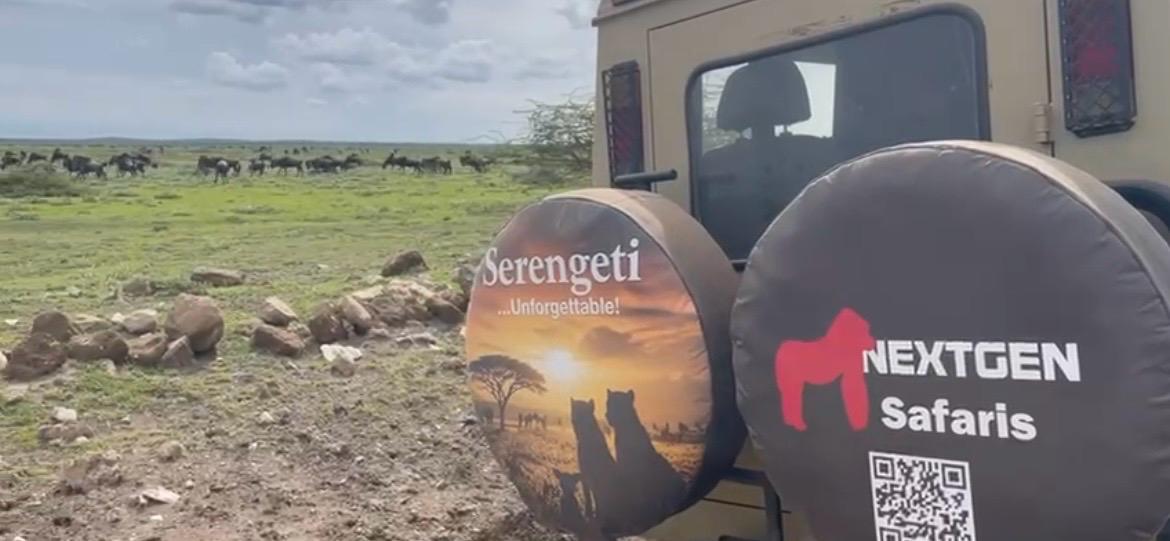 Budget Tanzania Wildlife Safari