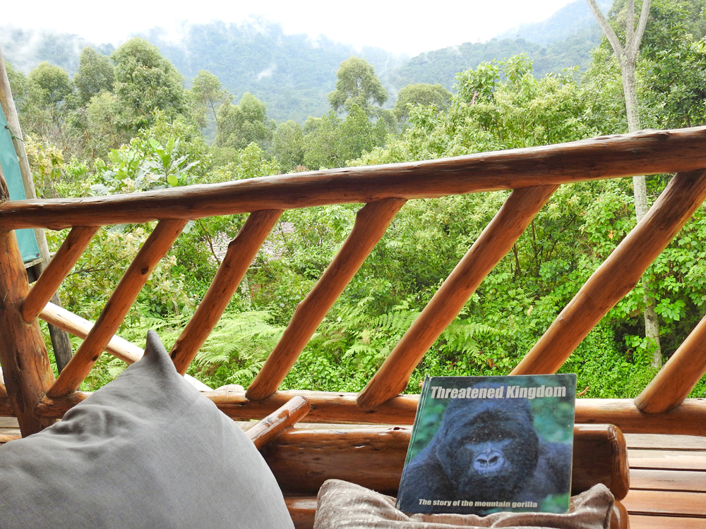 Buhoma Community Haven Lodge Room with Forest View