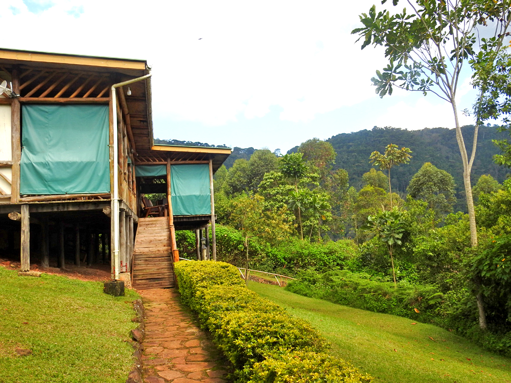 Buhoma Community Haven Lodge Side View