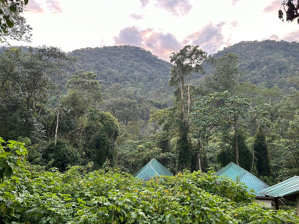 Aerial view of Buhoma Community Rest Camp near Bwindi forest
