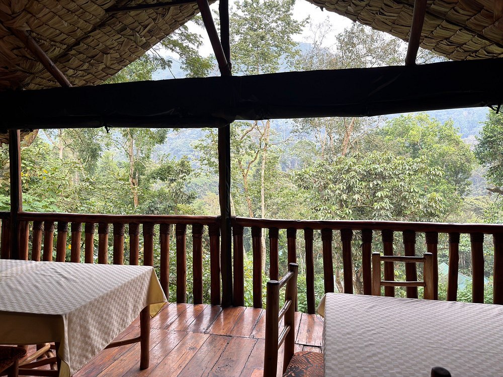 Rest Camp offers several advantages that make it one of the most appealing budget lodges for travelers visiting the Buhoma sector while still providing a rewarding and authentic travel experience.