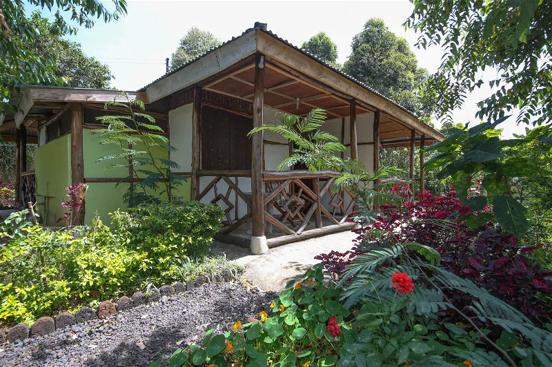 Bwindi Backpackers Lodge compound view