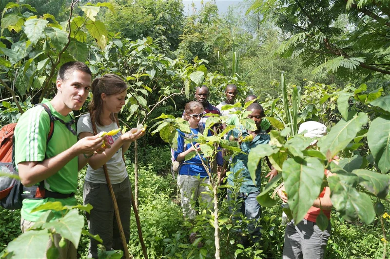 During these excursions visitors may encounter a variety of plant species, butterflies, insects, and smaller mammals that inhabit the forest. Guides often point out unique trees and medicinal plants while explaining how local communities traditionally used forest resources.