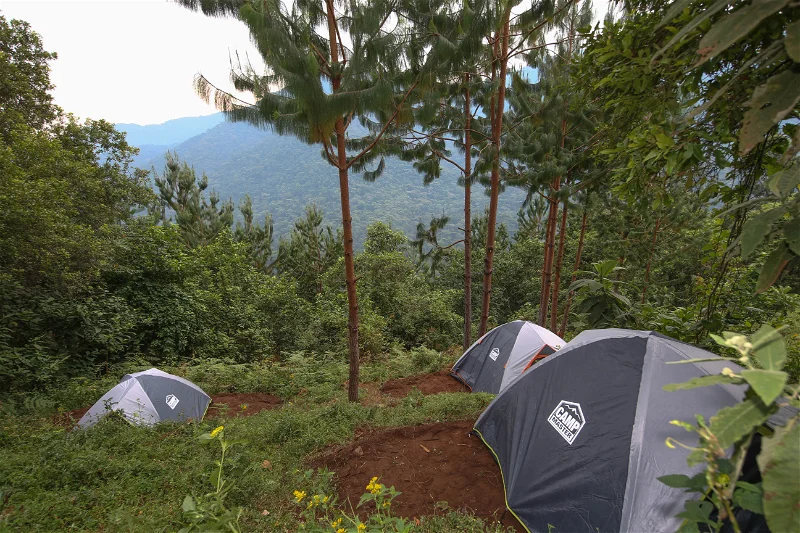 This allows visitors to focus their travel budget on experiences such as gorilla trekking permits while still staying close to the national park.