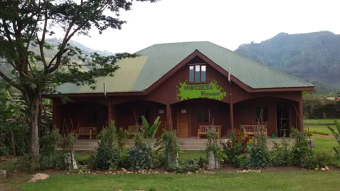 Mwebesa House at Bwindi Community Homestay