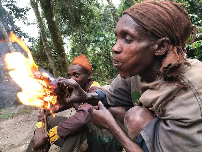 Bwindi forest before the area became a national park.