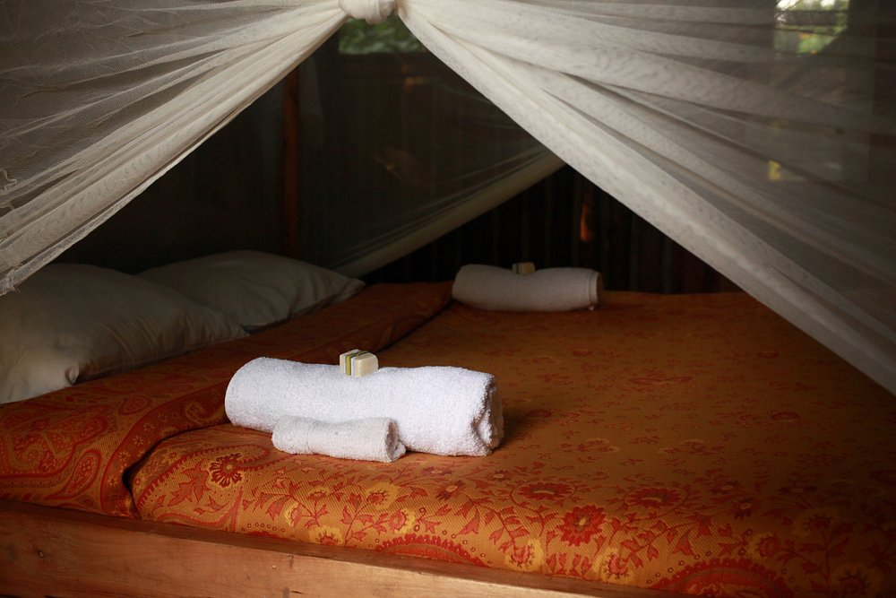 Bedroom at Bwindi Guest House Buhoma