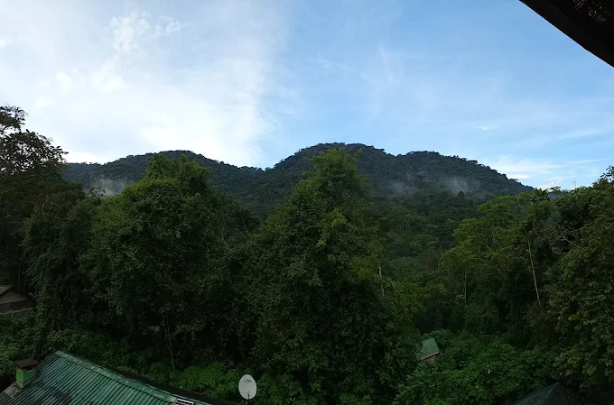 Bwindi View Guest House Accommodation