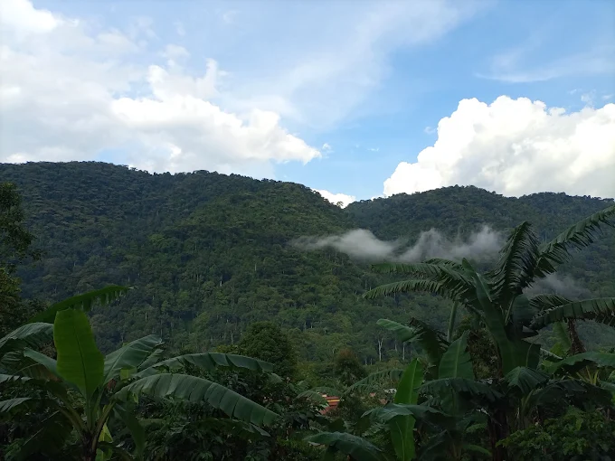 a relaxing environment where they can unwind before and after their trekking activities.