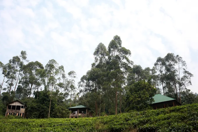 Bwindi Guest House distant view overlooking the forest