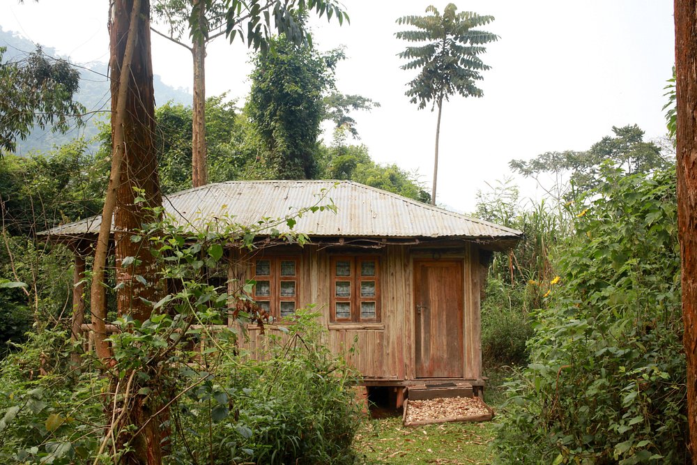 Bathroom at Bwindi Guest House accommodation