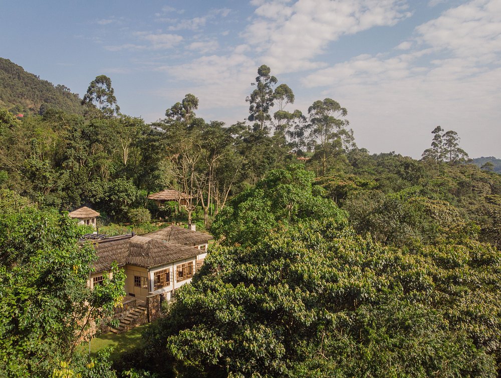 Bwindi Jungle Lodge Aerial View