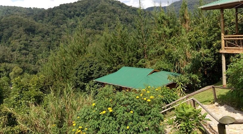 Aerial view of Bwindi Panorama Resort near Bwindi forest