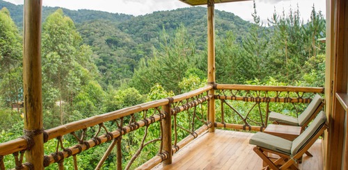 convenient access to gorilla trekking in Bwindi Impenetrable National Park.