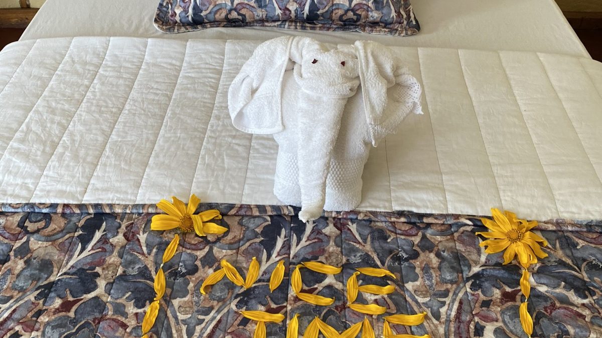 Bwindi Trekkers Tavern Cottages Bed