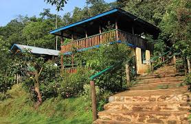 Bwindi View Bandas Front View