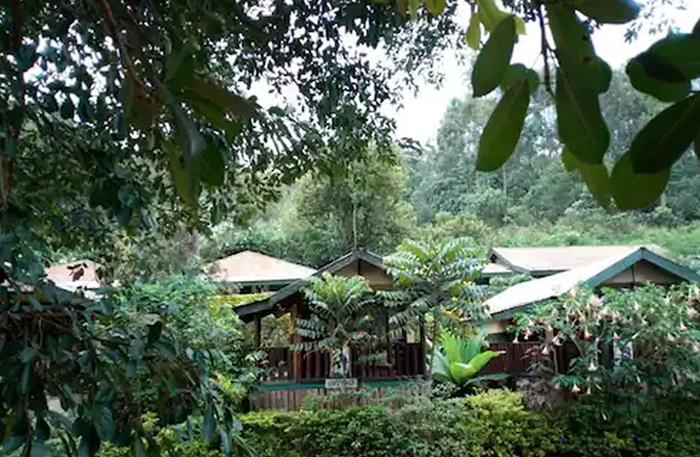 Bwindi View Lodge Side View