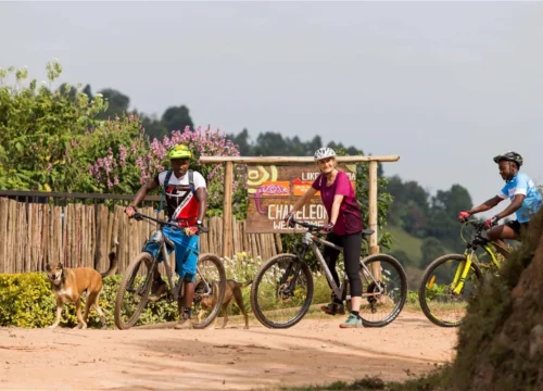 Chameleon Hill Forest Lodge Bwindi – Luxury Lodge Overlooking Lake Mutanda Near Gorilla Trekking