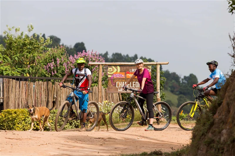 chamelion hill lodge bwindi