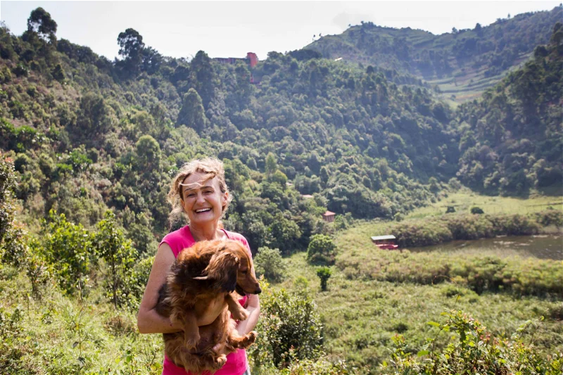 Bwindi Impenetrable National Park Uganda landscape and gorilla habitat
