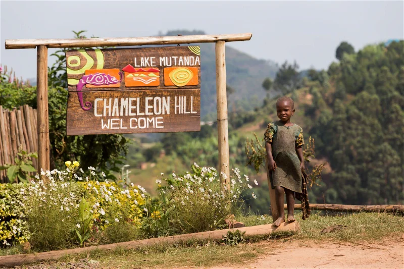 gorilla trekking adventures near Bwindi Impenetrable National Park.
