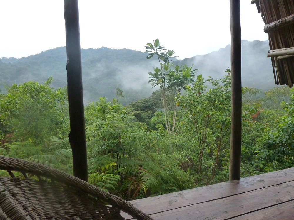 Cuckooland Tented Lodge Bwindi Forest View