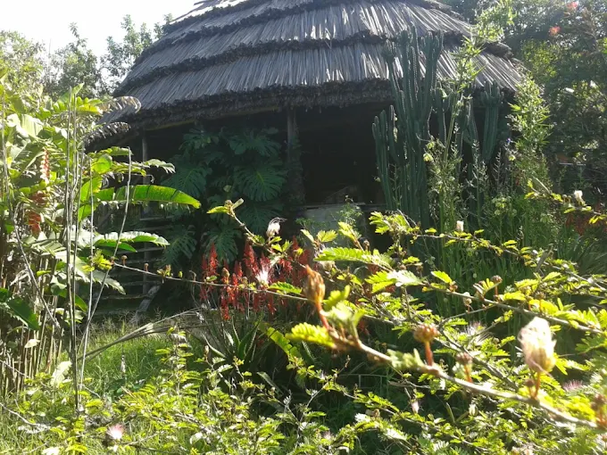 Cuckooland Tented Lodge Natural Environment