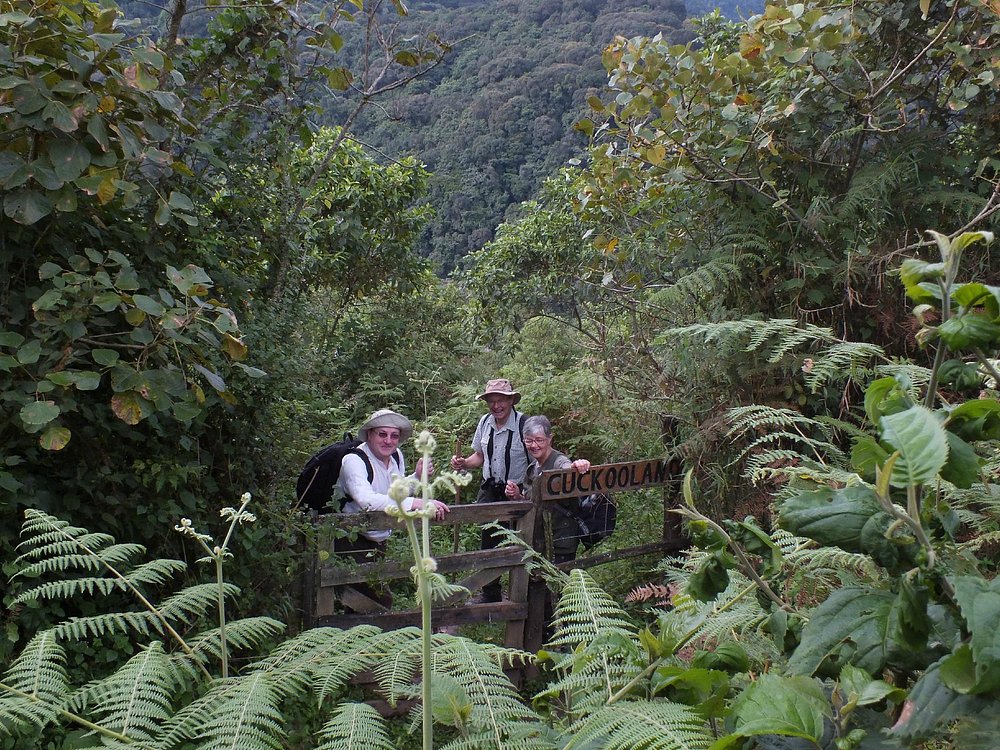 Bwindi Impenetrable National Park. The lodge combines the adventurous atmosphere of a traditional safari camp with the comfort and convenience required by travelers visiting the region for gorilla trekking.