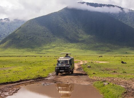 Drive from Kigali to Volcanoes National Park