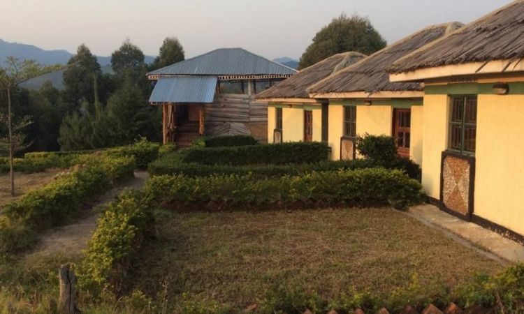 Eco Marvels Gorilla Resort Compound