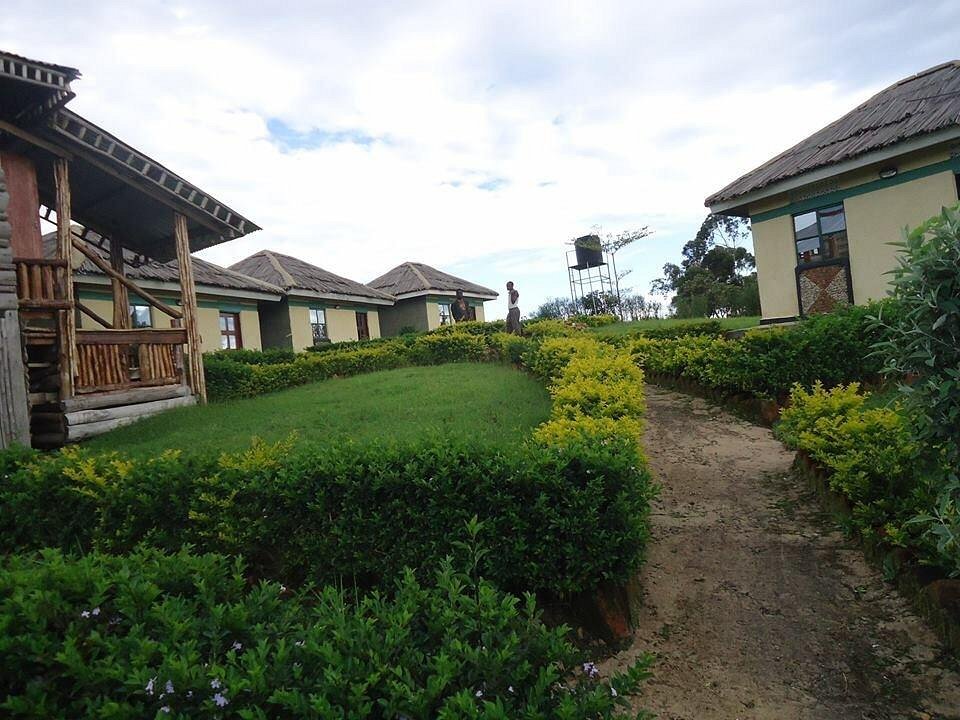 Rushaga sector of Bwindi Impenetrable National Park,
