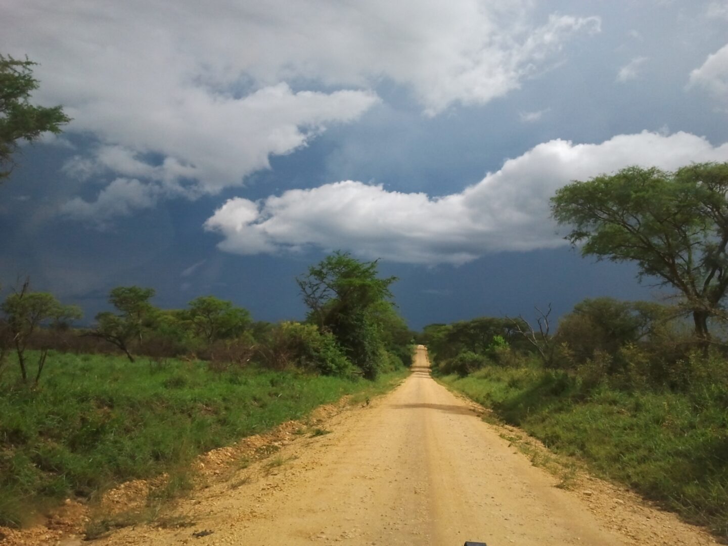 How to Get to Engagi Lodge
