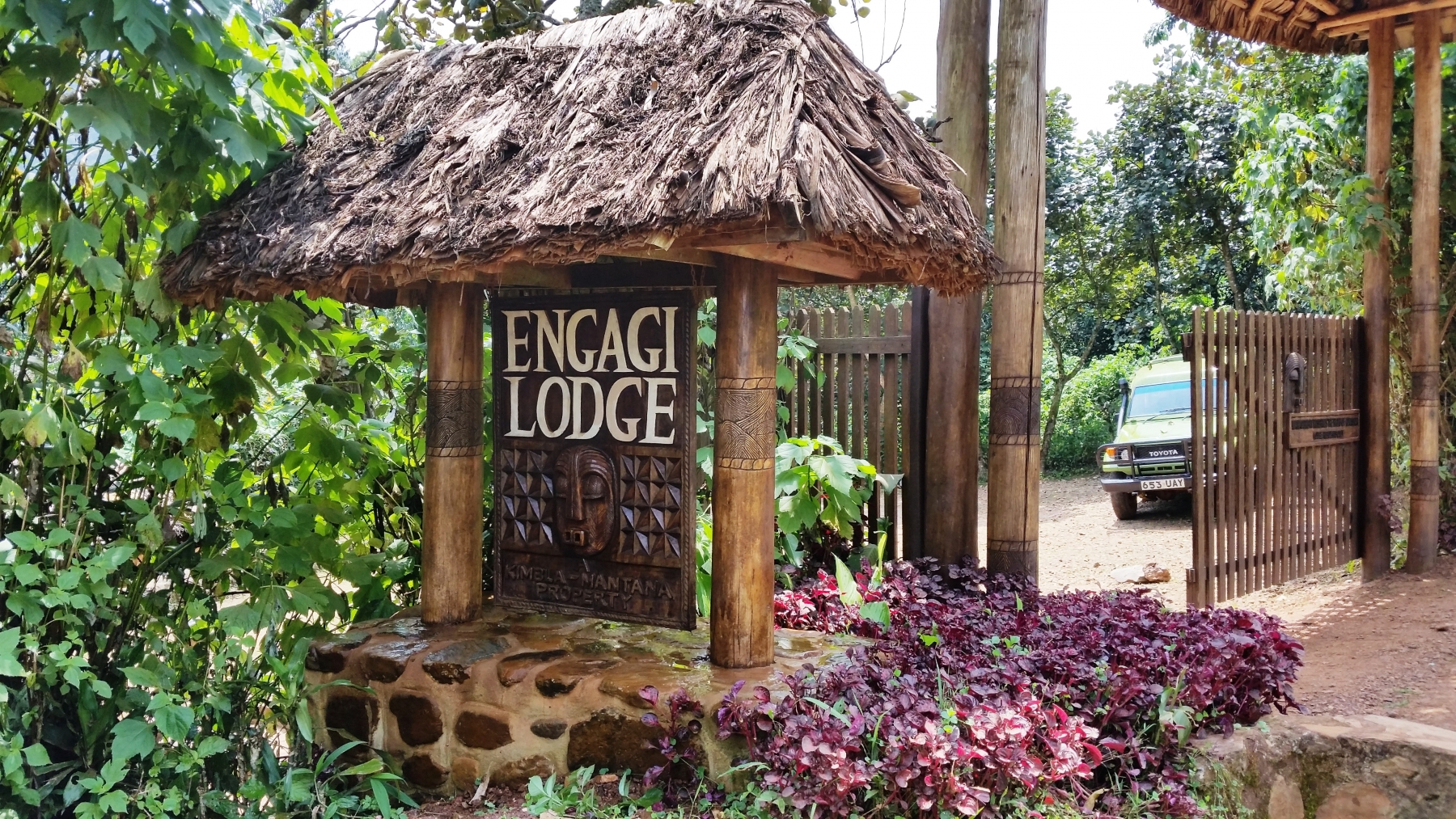 Engagi Lodge Buhoma forest view