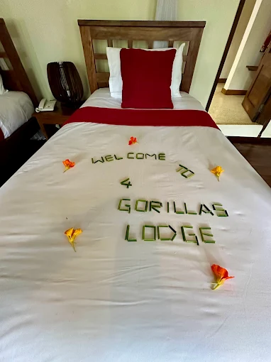 Four Gorillas Lodge gorilla trekking experience