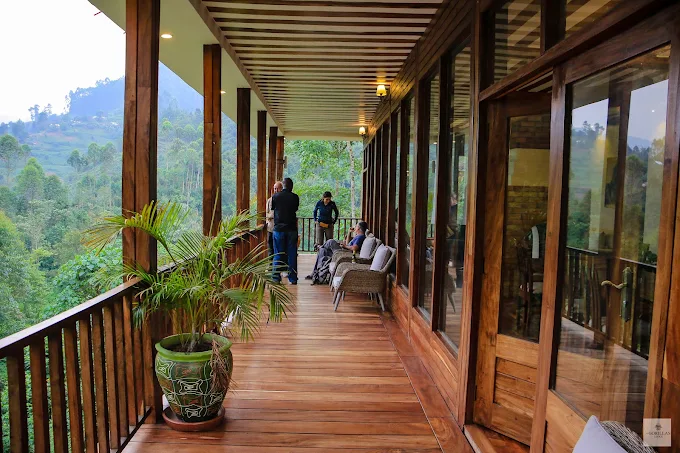 Four Gorillas Lodge balcony forest view