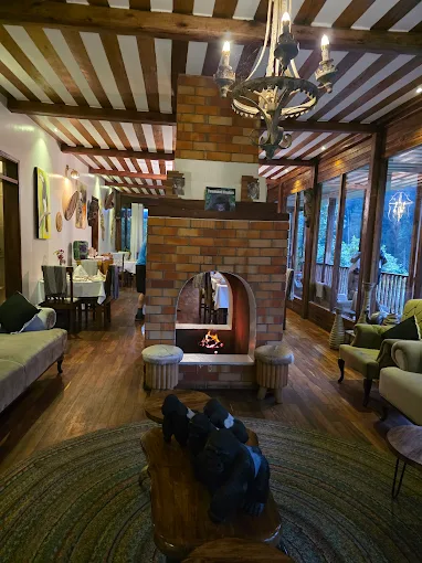 Four Gorillas Lodge interior room