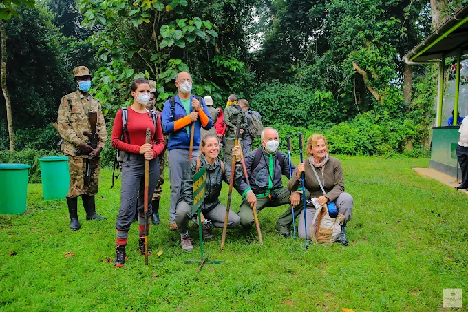 Gorilla trekking experience near Four Gorillas Lodge