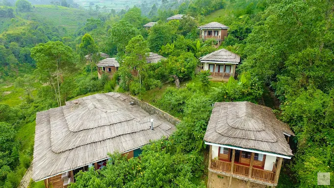 Four Gorillas Lodge view Bwindi