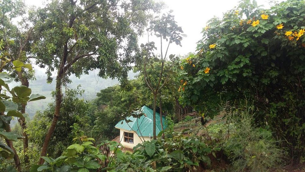 The lodge provides simple, comfortable, and affordable accommodation for travelers who want to stay close to the gorilla trekking starting point while keeping their safari costs manageable.