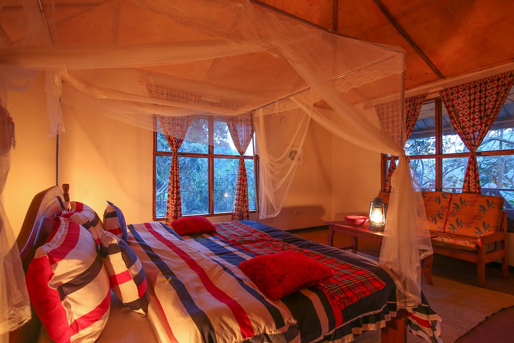 Gorilla Closeup Lodge Rooms