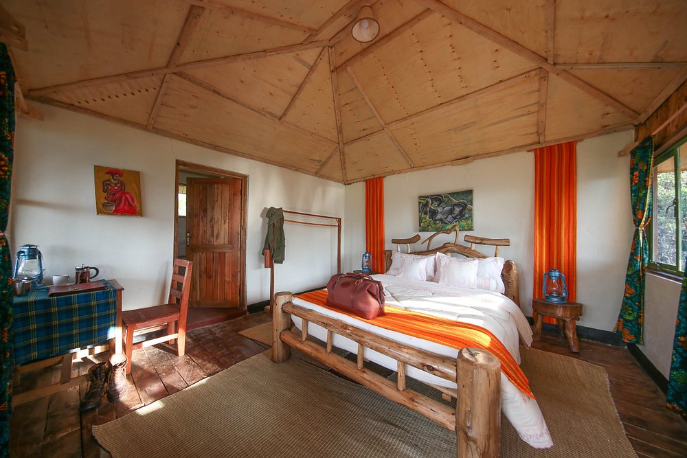 Gorilla Closeup Lodge Guest Room