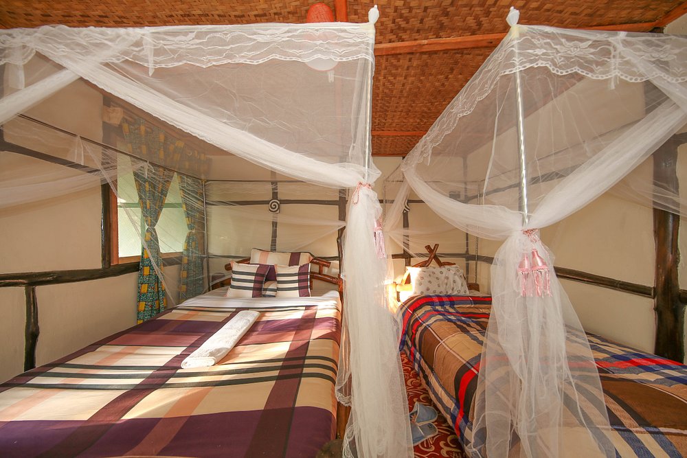 Gorilla Closeup Lodge Bedroom Interior
