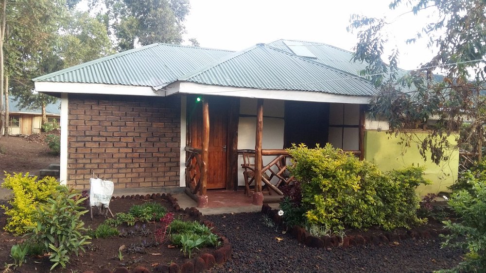 Gorilla Closeup Lodge Front View