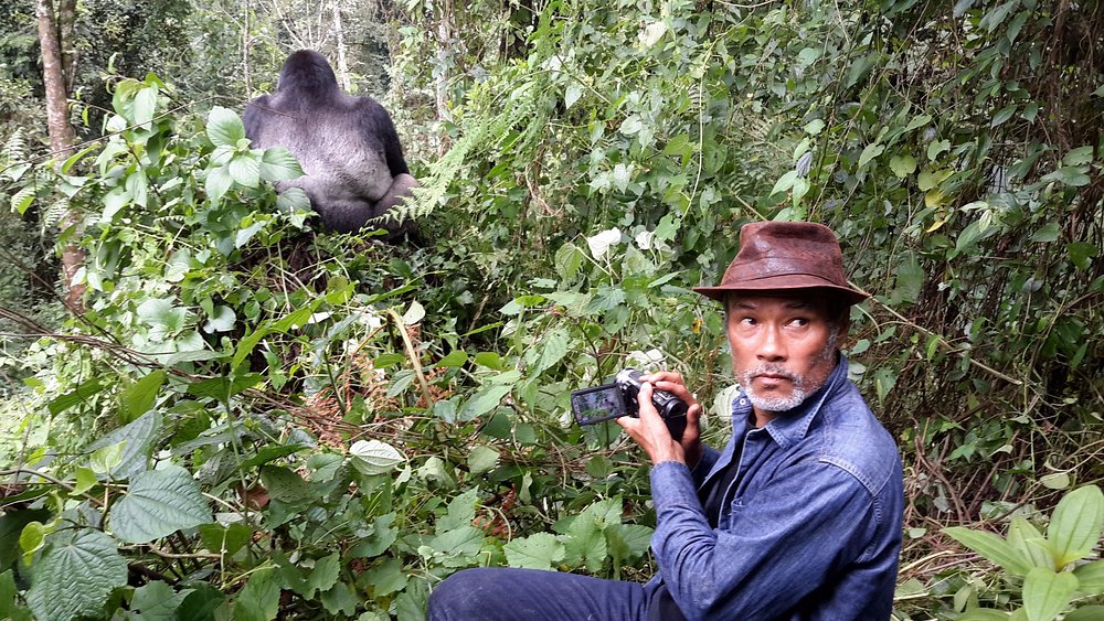 Unlike standard gorilla trekking, which allows only one hour with