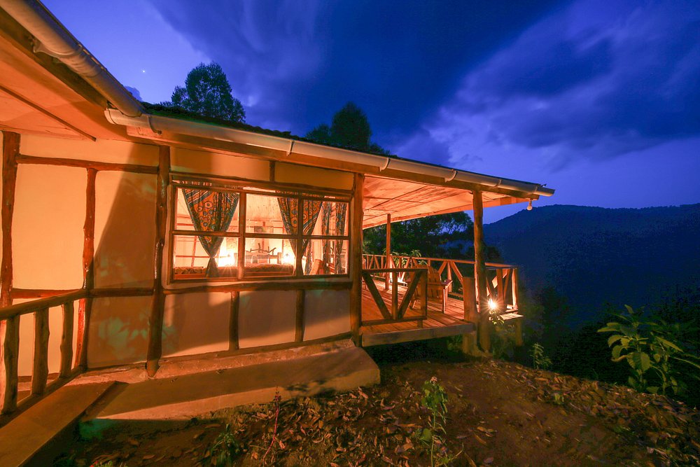Gorilla Closeup Lodge Night View