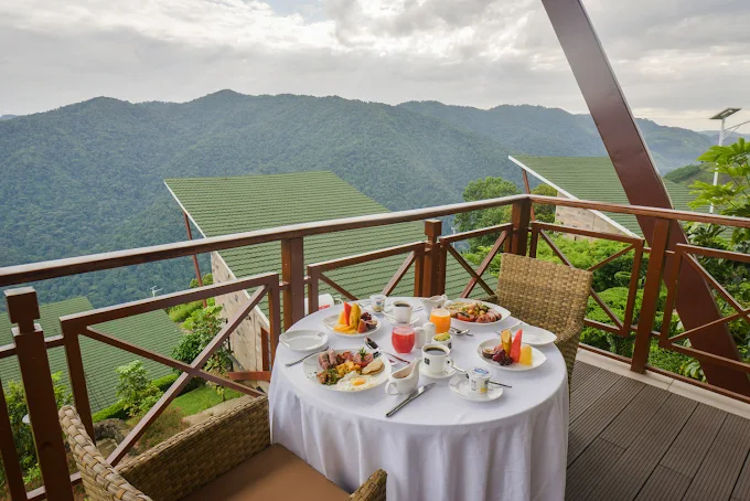 Dining Experience at Gorilla Heights Lodge
