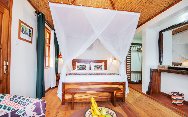 Gorilla Leisure Lodge room view