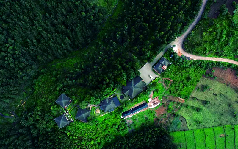 Gorilla Leisure Lodge exterior view